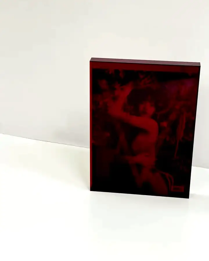 V152: FOUR SEASONS OF LISA BOX SET (COLLECTOR'S EDITION) - Image 6