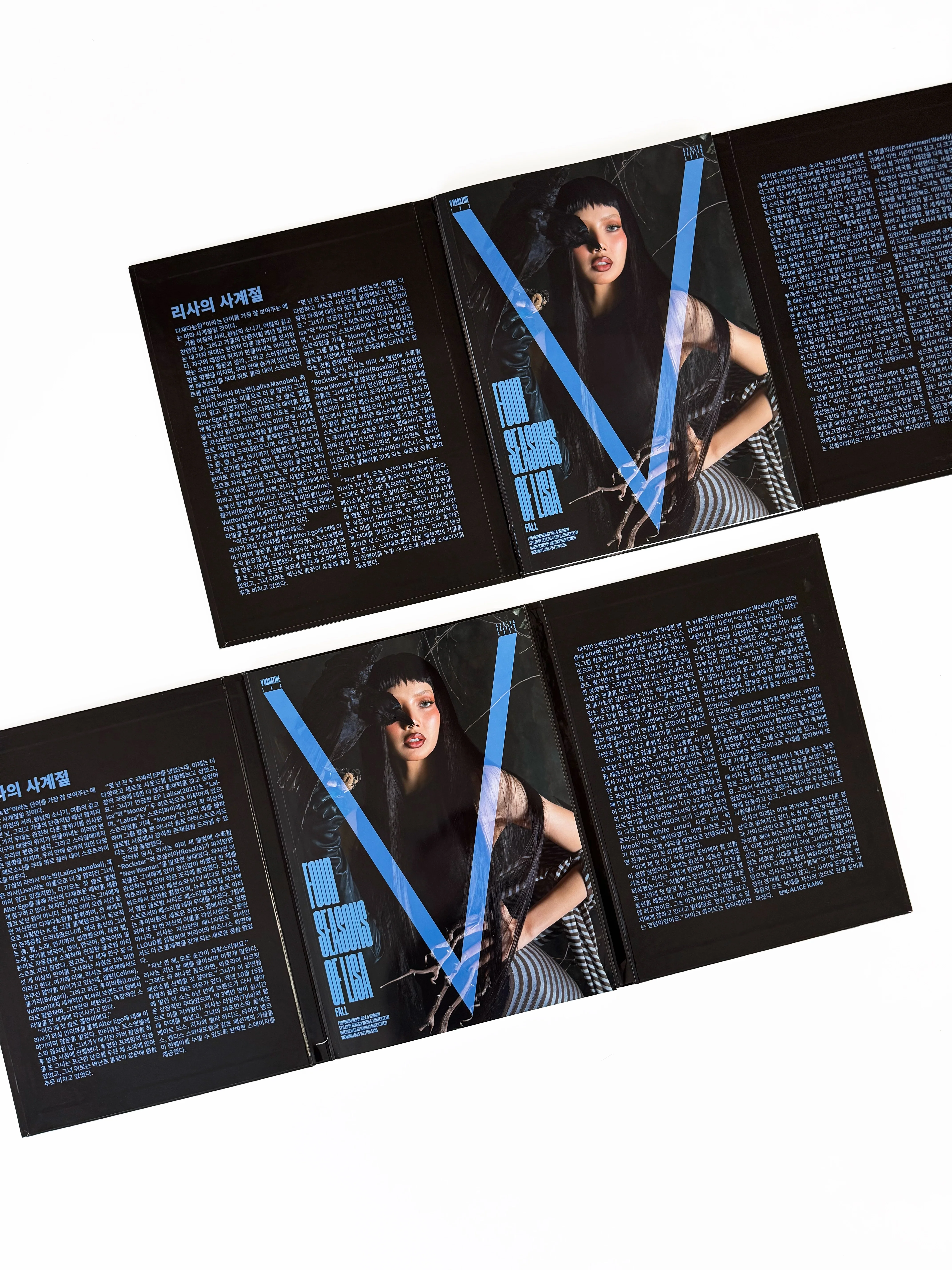 V152: FOUR SEASONS OF LISA (DELUXE HARDBOUND EDITION) - Image 4
