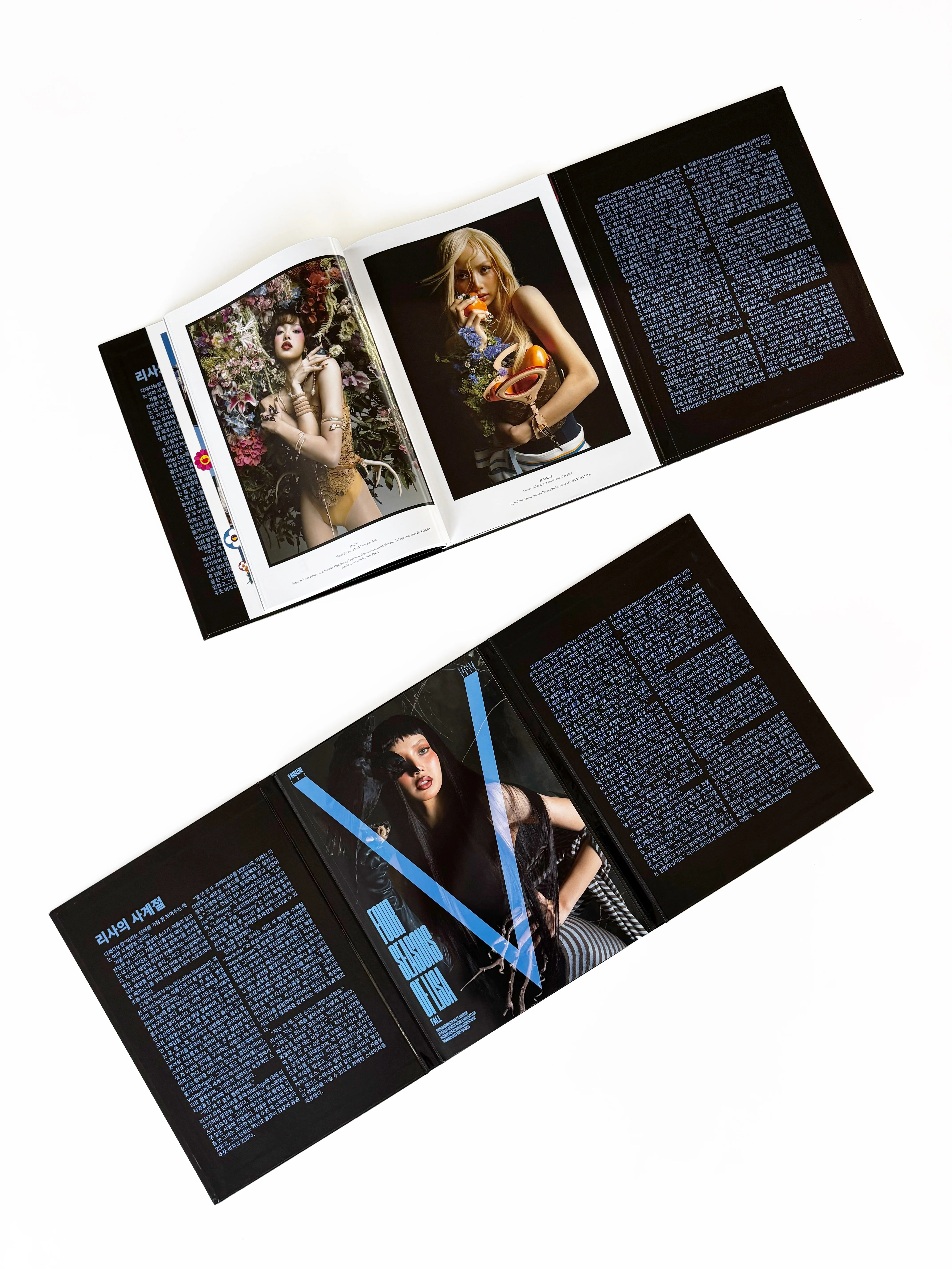 V152: FOUR SEASONS OF LISA (DELUXE HARDBOUND EDITION) - Image 5
